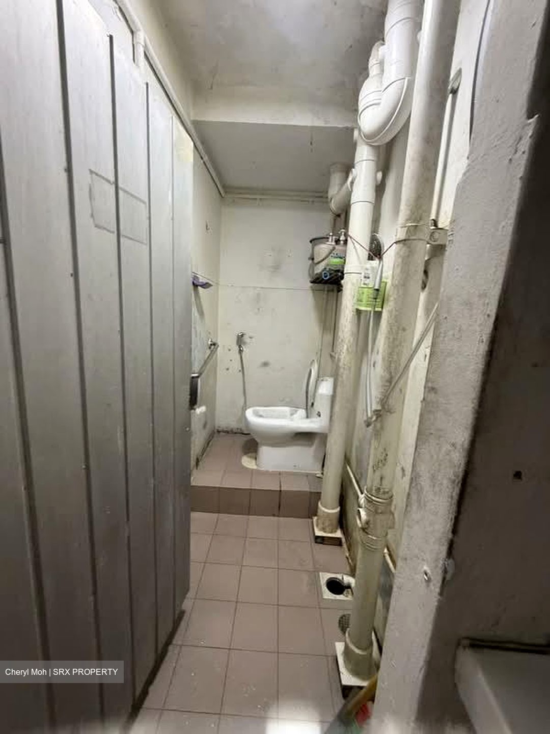 Tiong Bahru Orchid (D3), Shop House #554004511